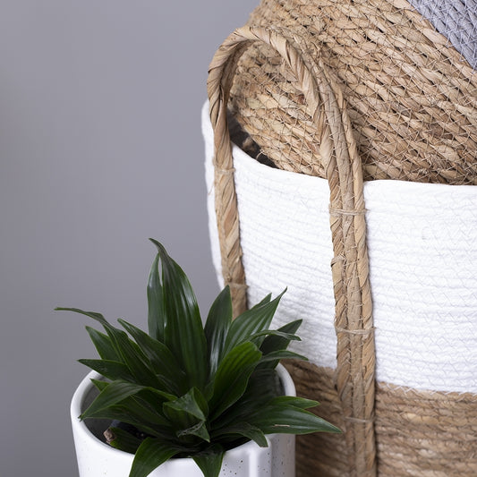 WHITE & NATURAL LINED BASKET / B286 *