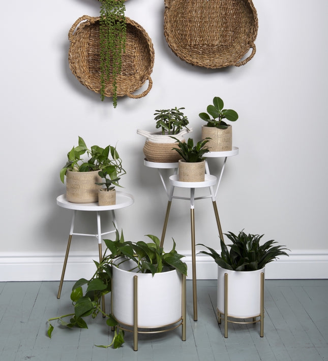 WHITE PLANT STAND / SIDE TABLE / B9458 *